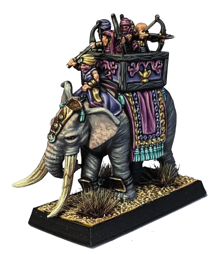 elephant rider